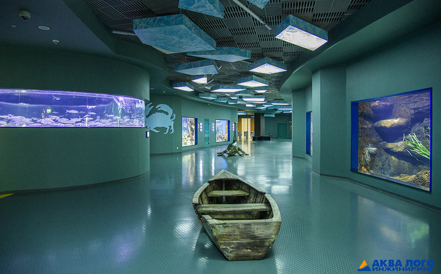 Фото 4. Кольцевой аквариум в экспозиции "Моря России"